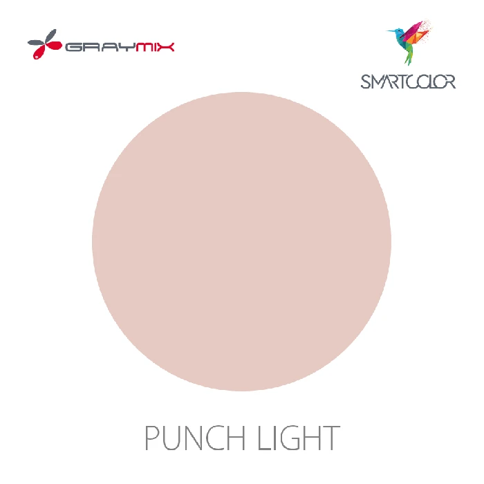 Graymix_2023_SmartColor_Punch-light